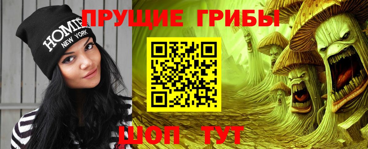 Галлюциногенные грибы мухоморы Новодвинск